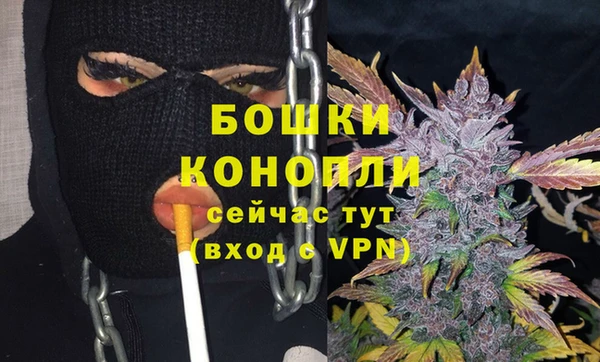 Альфа ПВП Елизово