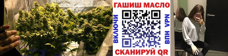 Купить где  Биробиджан  Дистиллят ТГК концентрат 
